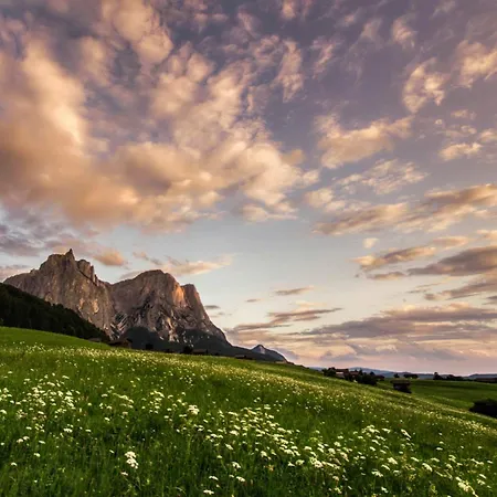 Haus Lohengrin 2 Apartment Siusi